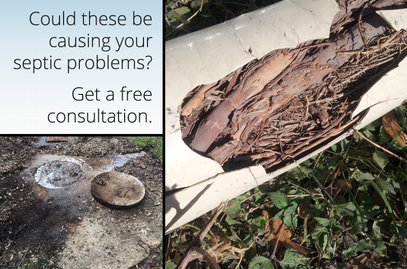 septic tank repair texas cities 
      zip batch